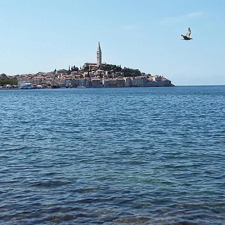 Apartman Studio Erin Rovinj Kültér fotó
